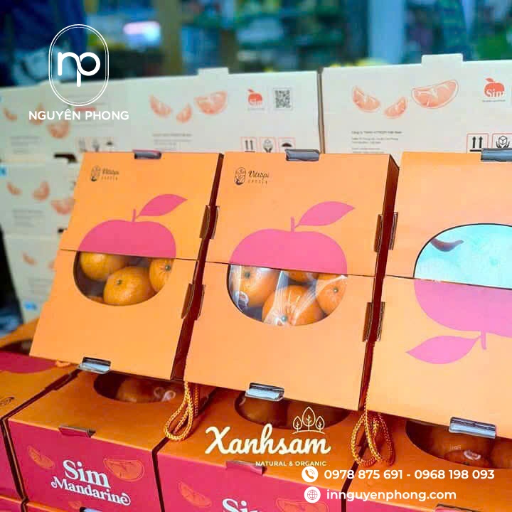 Bao bì hộp đựng sản phẩm hoa quả